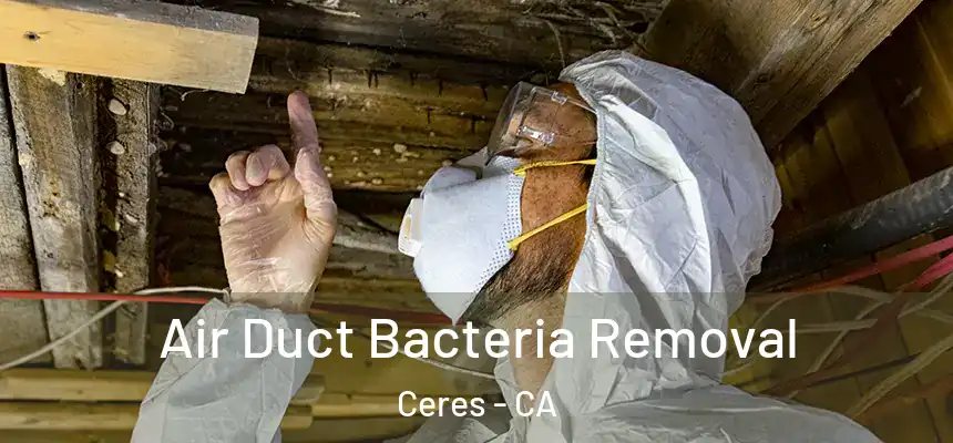  Air Duct Bacteria Removal Ceres - CA