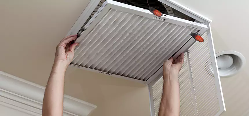 Preventive Cockroach-Proofing for Ducts in Ceres