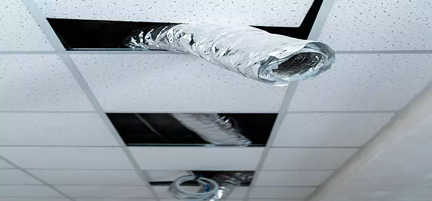 Affordable HVAC Sanitizing After Pest Removal in Ceres