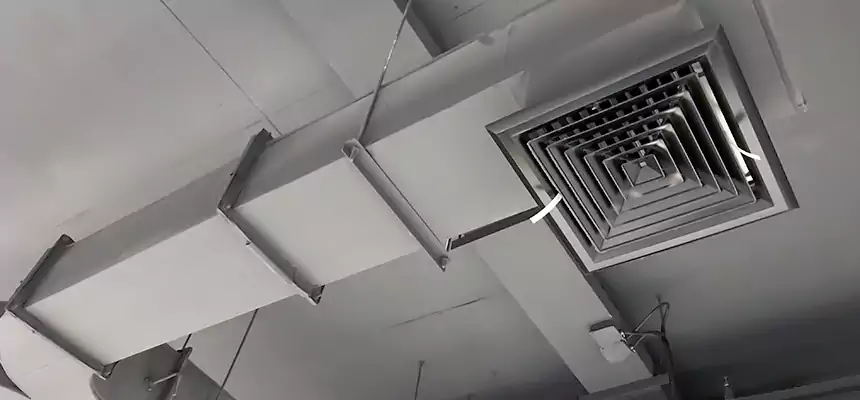 Restorative Allergy Relief Vent Cleaning – Coil, Blower & Housing Detail in Ceres