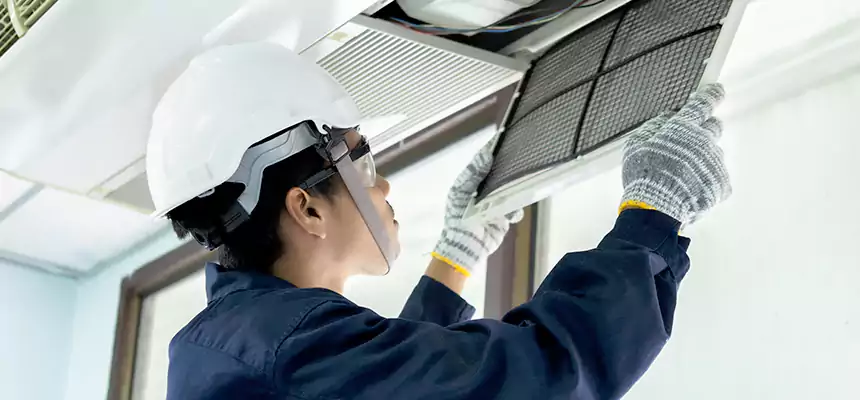 Our Mold & Mildew Removal from Air Ducts Services in Ceres, CA