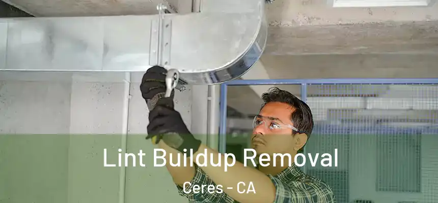  Lint Buildup Removal Ceres - CA