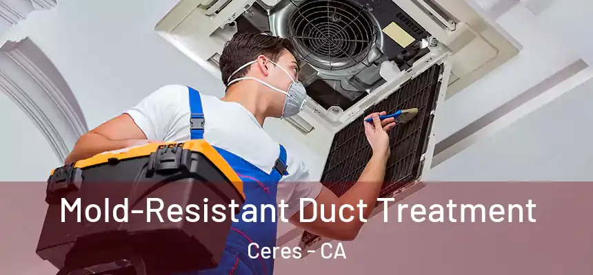  Mold-Resistant Duct Treatment Ceres - CA