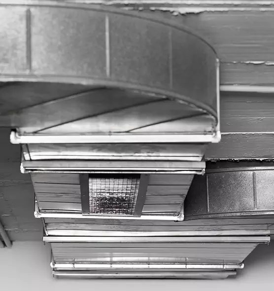 Professional Air Duct Pest Removal in Ceres, CA