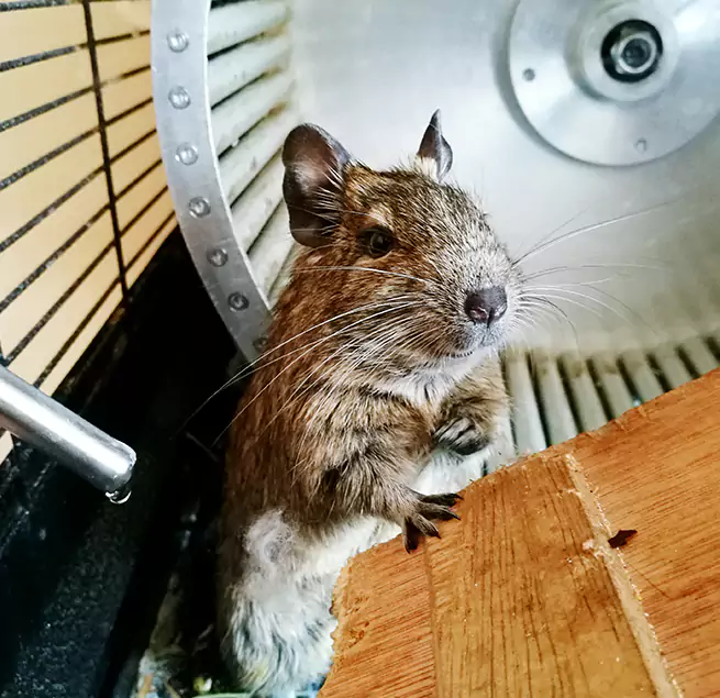 Why Homeowners & Businesses Trust Us Ceres, CA?